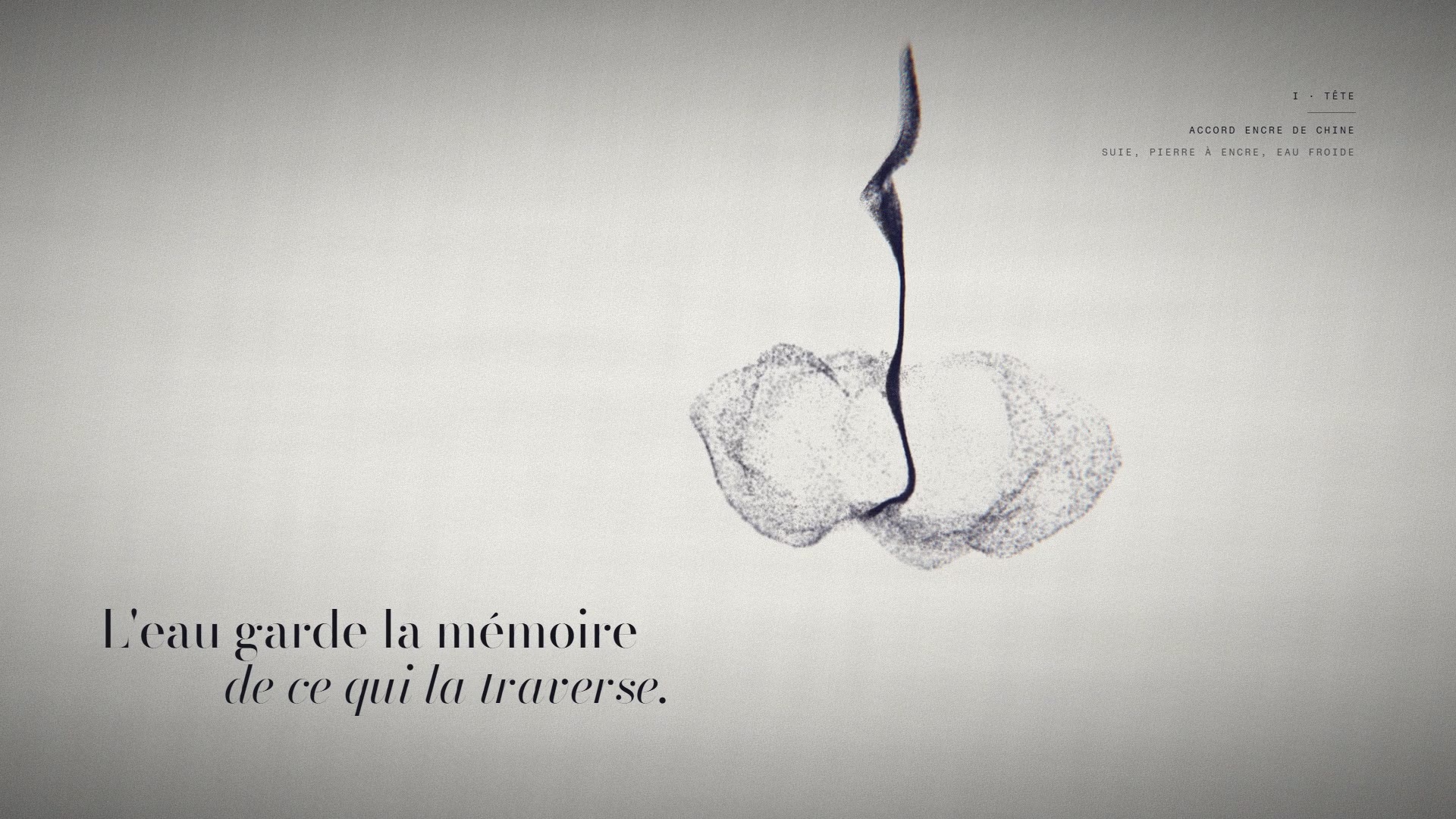 Film Lavis N°3 : une goutte d'encre se déploie dans l'eau